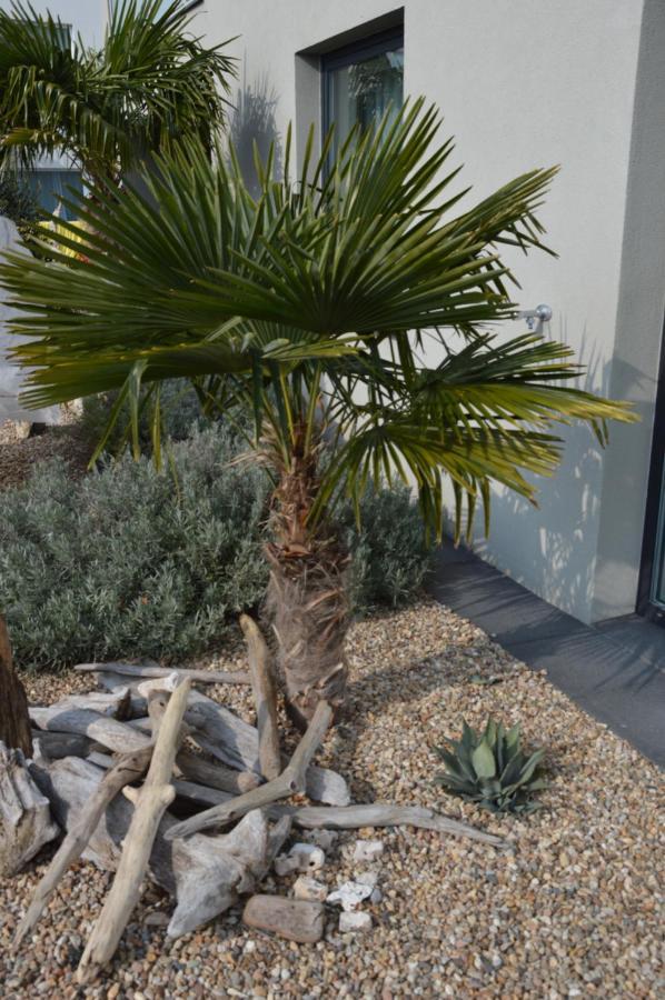 Palm Garden Apartment 1 Mikulov Luaran gambar