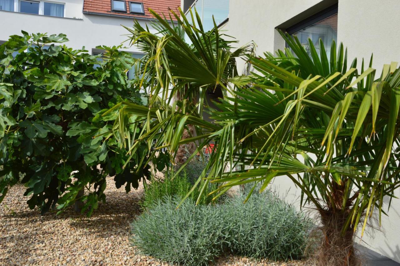 Palm Garden Apartment 1 Mikulov Luaran gambar