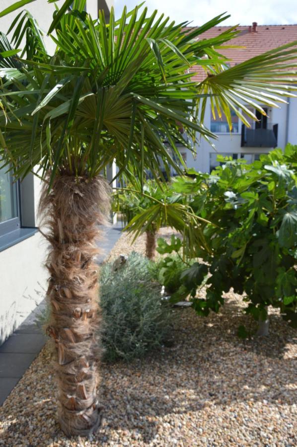 Palm Garden Apartment 1 Mikulov Luaran gambar