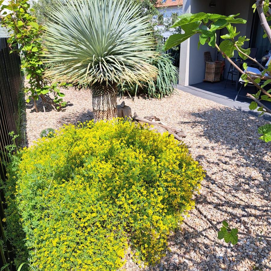 Palm Garden Apartment 1 Mikulov Luaran gambar