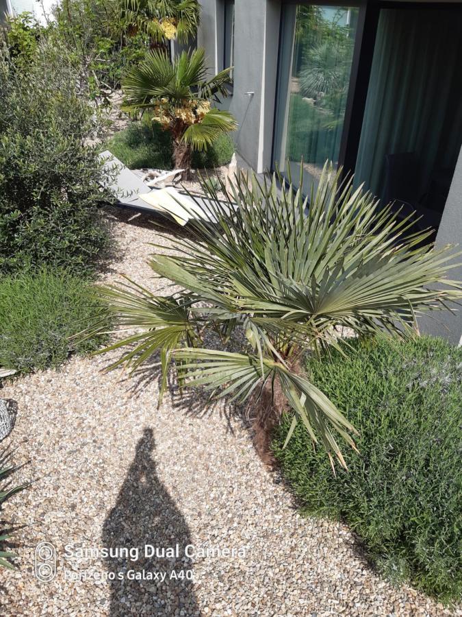 Palm Garden Apartment 1 Mikulov Luaran gambar